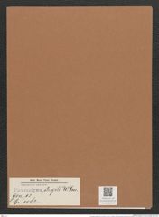 Pleurosigma strigile W.Sm. (de-Toni-Nr.: Genus 13, Species 1082) Zeichnungen Sammlung Grunow Mappe 01074 (Herbarium_W_Grunow_drawings_Folder_01074)